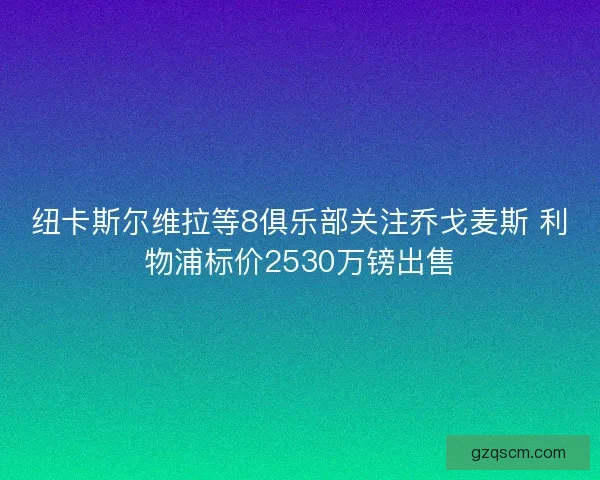 纽卡斯尔维拉等8俱乐部关注乔戈麦斯 利物浦标价2530万镑出售