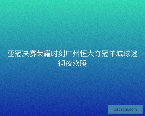 亚冠决赛荣耀时刻广州恒大夺冠羊城球迷彻夜欢腾